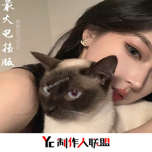 欧美女人和猪内谢视频
